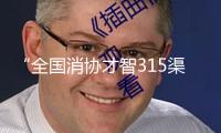 “全國(guó)消協(xié)才智315渠道”正式上線 數(shù)智賦能滿足消費(fèi)