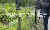 “兩高一部”發(fā)布《關(guān)于處理拒不執(zhí)行判定、裁決刑事案件若干問題的定見》