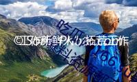 “工作新鮮人”拓荒工作新賽道
