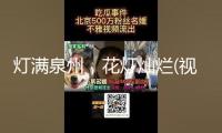 燈滿泉州，花燈燦爛(視頻)