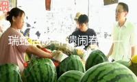 瑞蛇啟新 非遺鬧春——南靖縣第四試驗(yàn)幼兒園元宵節(jié)活動(dòng)滿(mǎn)意舉辦