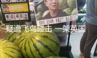 疑遭飛鳥碰擊 一架英國航空公司航班備降波士頓機(jī)場