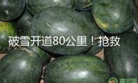 破雪開道80公里！搶救4歲幼童 高原上開出生命通道