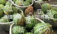 福建寧德：海上飼養(yǎng)基地