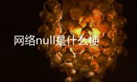 網(wǎng)絡null是什么梗