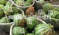 八廓商城年貨節(jié)供給213個(gè)免費(fèi)貨攤