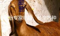 假扮專家明星、秒變各種身份 “智能體”會(huì)改動(dòng)日子嗎？