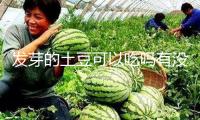 發(fā)芽的土豆可以吃嗎有沒有毒