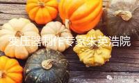 變壓器制作專(zhuān)家朱英浩院士去世