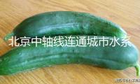 北京中軸線連通城市水系、織補(bǔ)綠色空間，是文明的軸線，也是生態(tài)的軸線（世界遺產(chǎn)中的生態(tài)觀照）