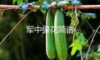 軍中綠花簡譜