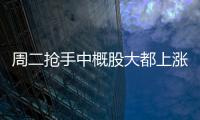周二搶手中概股大都上漲 抱負(fù)轎車漲超13%