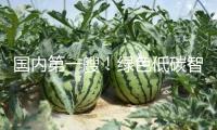 國內(nèi)第一艘！綠色低碳智能甲醇雙燃料集裝箱船今天交給