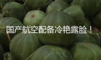 國(guó)產(chǎn)航空配備冷艷露臉！這個(gè)訓(xùn)練器讓飛翔體會(huì)觸手可及
