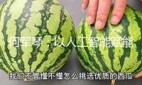 何軍琴：以人工智能賦能中醫(yī)優(yōu)勢病種醫(yī)治