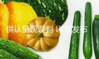 供認(rèn)呈現(xiàn)誤判 以軍發(fā)布加沙救助車隊(duì)遭襲事情調(diào)查結(jié)果