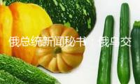俄總統(tǒng)新聞秘書：俄烏交流?；饤l件清單是優(yōu)先作業(yè)