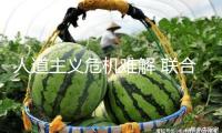 人道主義危機難解 聯(lián)合國稱加沙遭受“最嚴酷階段”