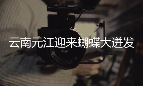【cggolive吃瓜官網(wǎng)】