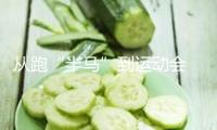 從跑“半馬”到運(yùn)動(dòng)會(huì) 機(jī)器人為啥都愛搞體育？