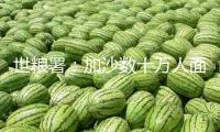 世糧署：加沙數(shù)十萬人面臨嚴峻饑餓危險