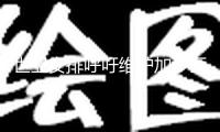 世衛(wèi)安排呼吁維護加沙醫(yī)療資源并趕快完成?；? width=