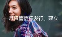 一月資管信任發(fā)行、建立市場(chǎng)規(guī)模下滑