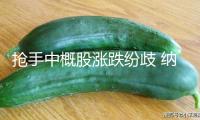 搶手中概股漲跌紛歧 納斯達(dá)克我國(guó)金龍指數(shù)收跌1.28%