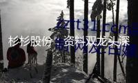 杉杉股份：資料雙龍頭深陷“內(nèi)憂外患”