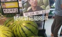 楊樹(shù)蘑菇能吃嗎