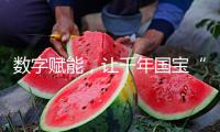 數(shù)字賦能，讓千年國寶“活”起來