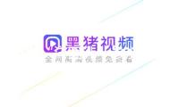 更多“洋面孔”參加春運(yùn)大潮！長(zhǎng)三角鐵路春運(yùn)發(fā)送旅客9900萬人次