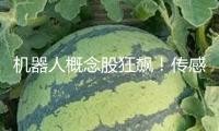 機器人概念股狂飆！傳感器成暗地“大明星”？三家公司弄清事務(wù)細(xì)節(jié)