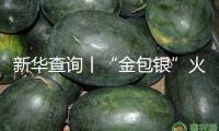 新華查詢丨“金包銀”火了，能定心“入”嗎？