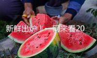 新鮮出爐！一同來看2025年高考語文作文題