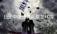 日子中緩慢鼻炎是怎樣構成的
