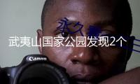 武夷山國家公園發(fā)現(xiàn)2個新物種