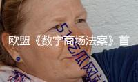 歐盟《數(shù)字商場法案》首開罰單 劍指美科技巨子獨(dú)占