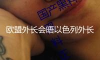 歐盟外長會晤以色列外長 呼吁?；鸩⒖祻?fù)人道主義救援
