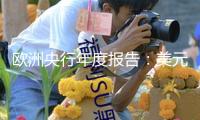 歐洲央行年度報(bào)告：美元在全球外匯儲(chǔ)備中占比下降