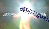 澳大利亞總理阿爾巴尼斯正式宣誓就職 敞開新一屆任期