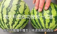 澳大利亞成功挽救一名被困海上的立陶宛劃船運動員