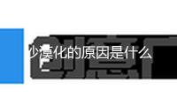 沙漠化的原因是什么