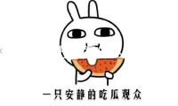 滾出中國什么梗