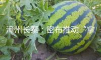 漳州長泰：密布推動“拿地即開工”