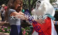 大司馬廳長(zhǎng)什么梗