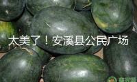 太美了！安溪縣公民廣場“花燈氣氛組”已就位