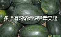 多頻道網(wǎng)絡(luò)組織異軍突起 怎樣避坑？怎么長效？