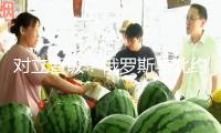 對(duì)立晉級(jí)？俄羅斯與北約在波羅的?！霸┘衣氛?專家：并非偶然
