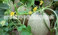 巖澤雄司中選國際法院新任院長(zhǎng)